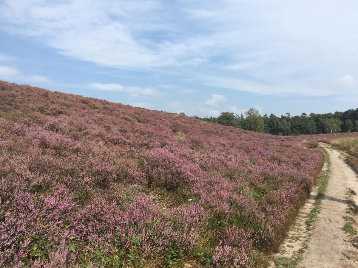 Bed&Breakfast de IJsvogel Doorwerth Eksteriør billede